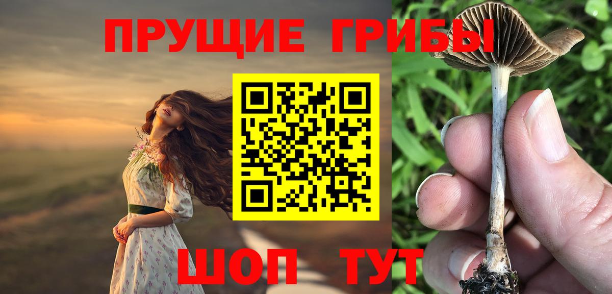 Галлюциногенные грибы Psilocybine cubensis  Вход с VPN  Волжск 